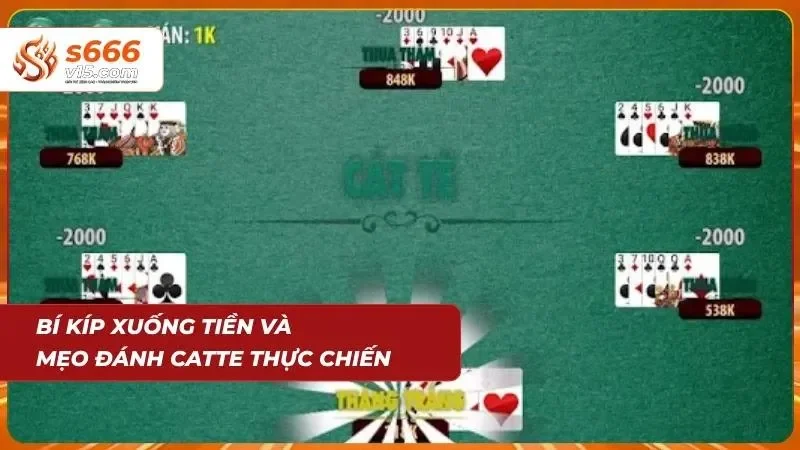 Catte Đổi Thưởng Online - Hướng Dẫn Thực Chiến S666 2026 4 Thắng thua lâu dài nằm ở cách giữ vốn hơn lá đẹp