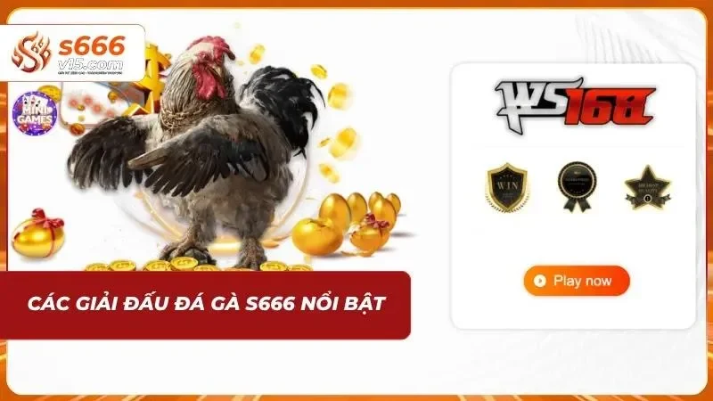 Tổng hợp các giải đấu đá gà s666 được quan tâm nhất