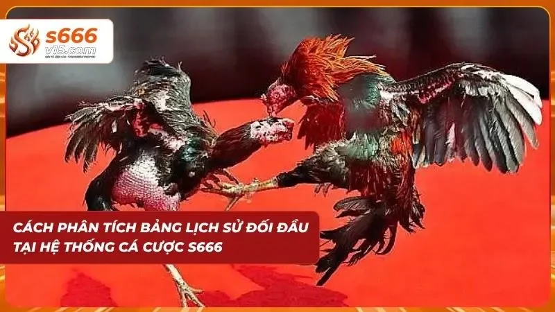 Bảng thống kê lịch sử thi đấu hỗ trợ phân tích kết quả
