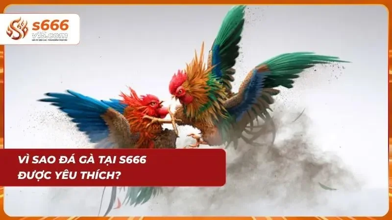 Giải đấu hấp dẫn thu hút đông đảo người xem theo dõi