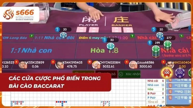 Luật Chơi Baccarat - Hướng Dẫn Chi Tiết Từ A-Z Cho Người Mới 4 Các tùy chọn đặt phỉnh chính và phụ đa dạng cùng bảng tỷ lệ trả thưởng thực tế