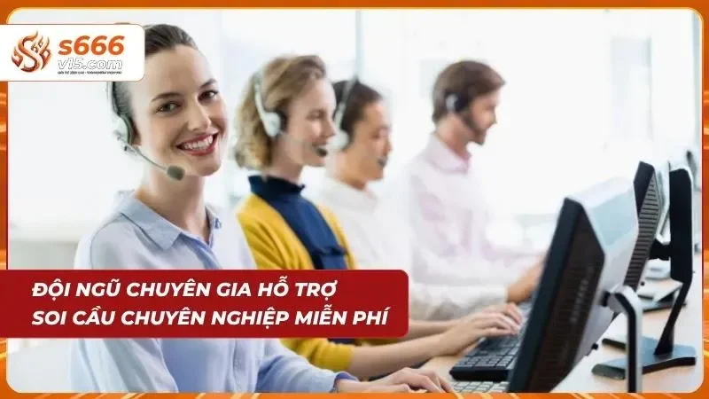 Chuyên gia hỗ trợ phân tích dữ liệu và giải đáp thắc mắc
